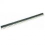 Barra de Pino BSPT Dourada 1x40